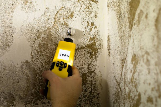 Professional Mold Inspection, Removal & Remediation in Corona, CA